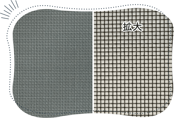 ブラック50